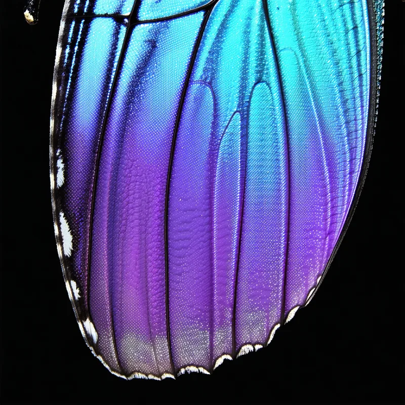 AI-generated macro photograph of iridescent butterfly wing structure